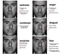 6 basic emotions pdf